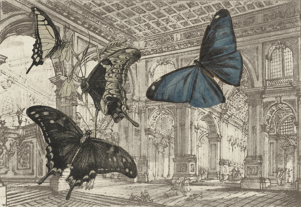 Il ballo delle debuttanti 02