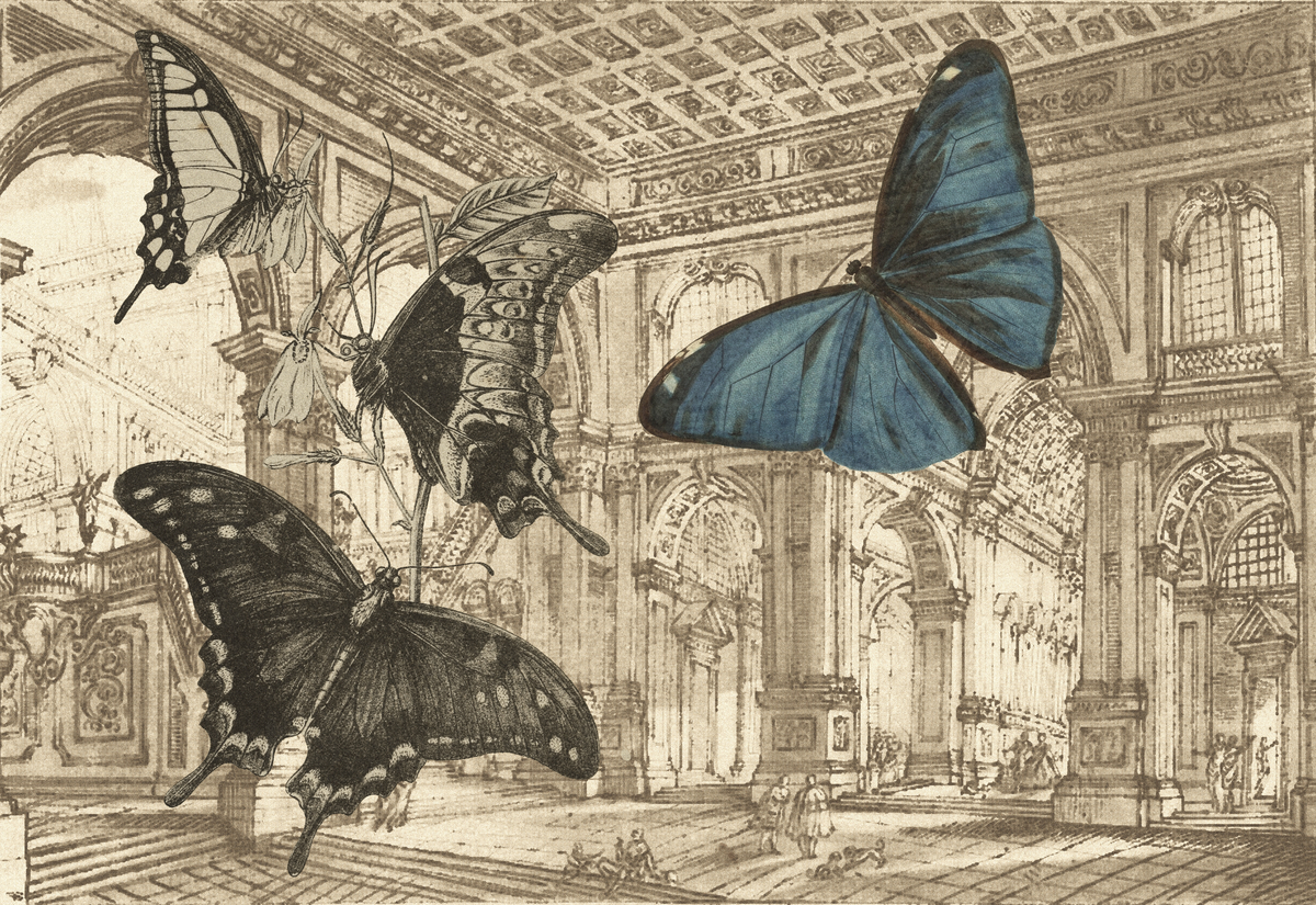 Il ballo delle debuttanti 03