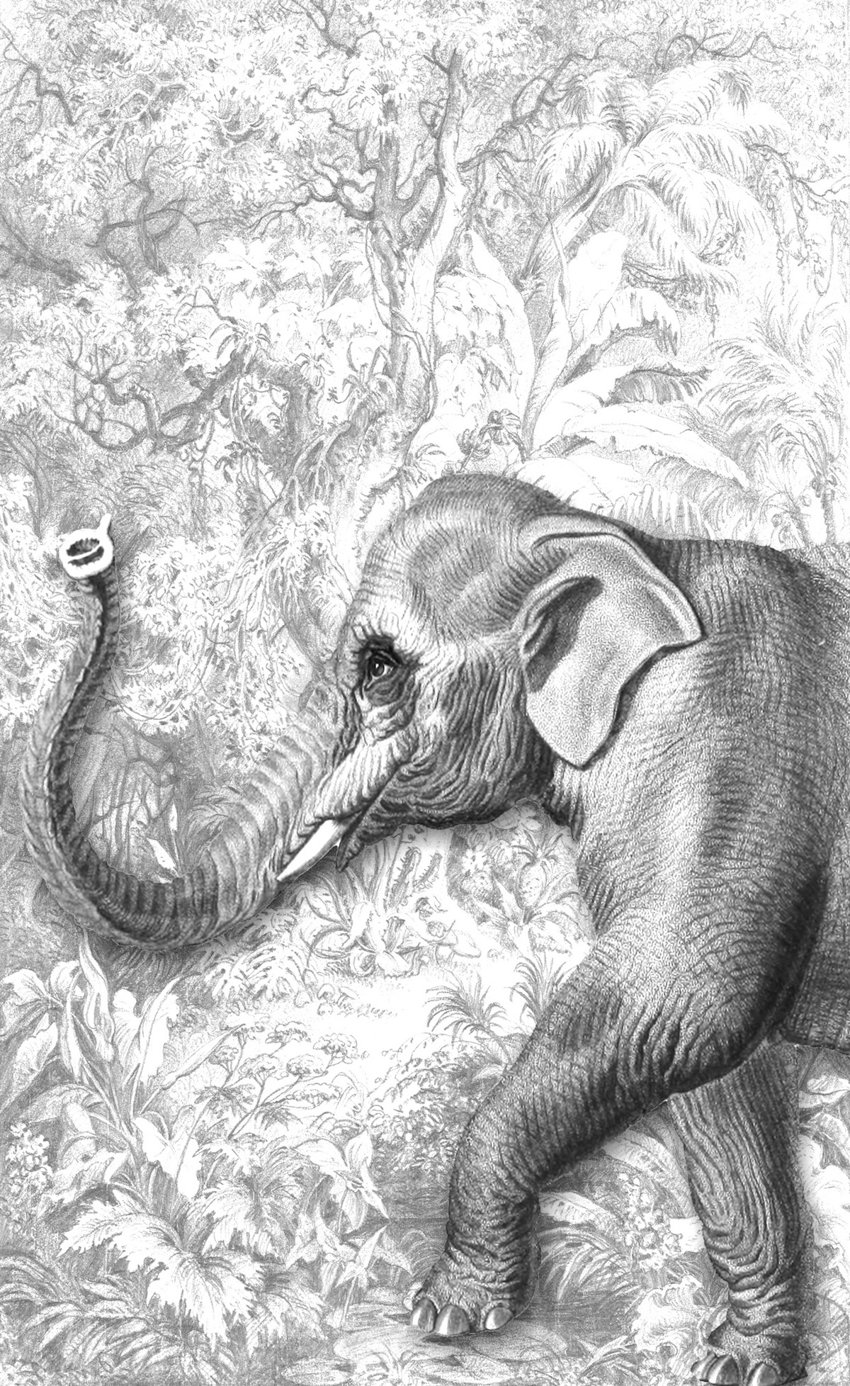 Passeggiando con gli amici 04