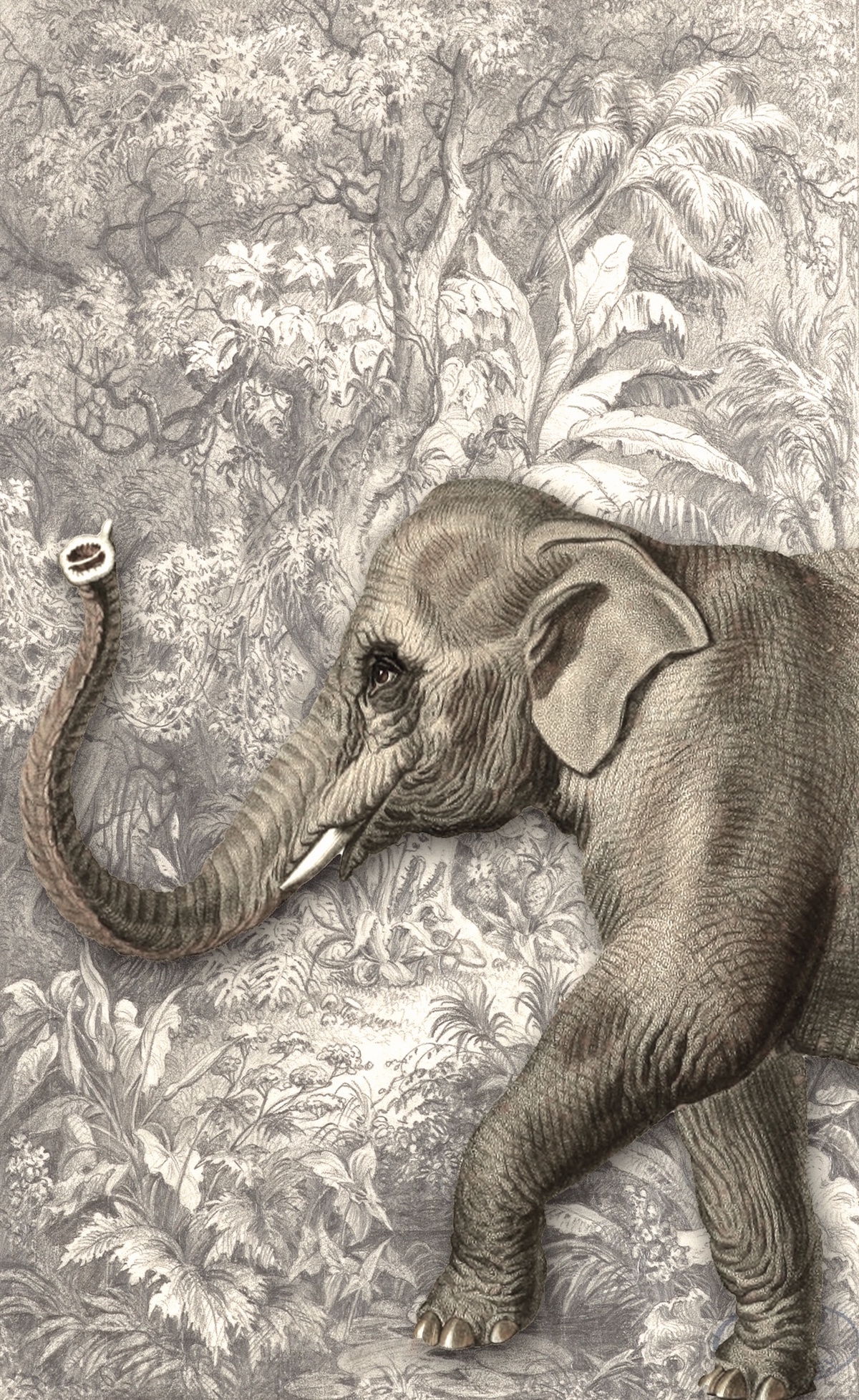 Passeggiando con gli amici 06