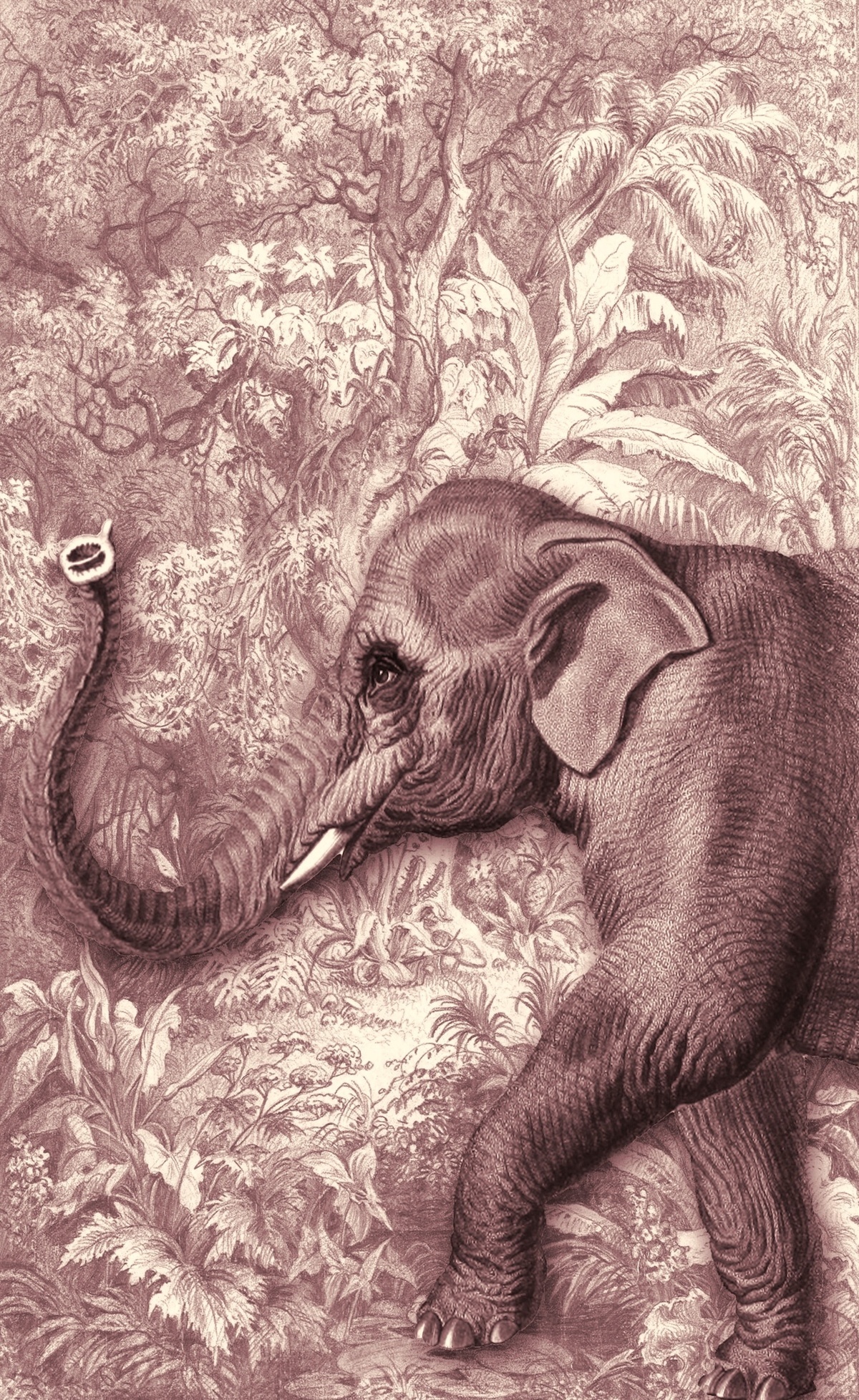 Passeggiando con gli amici 08