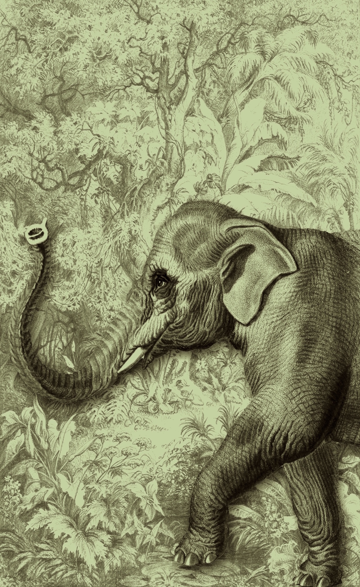 Passeggiando con gli amici 09