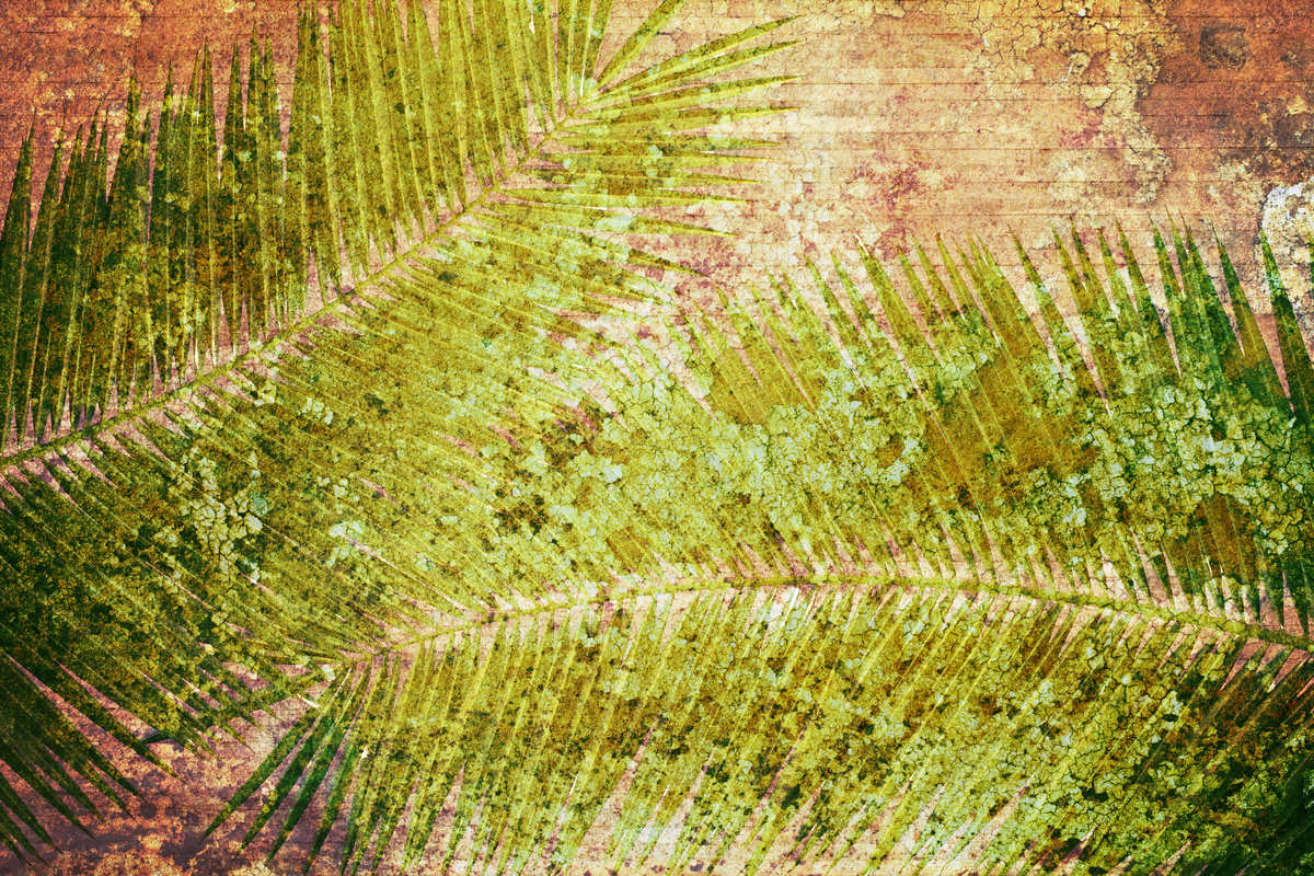 Foglie di palma 02