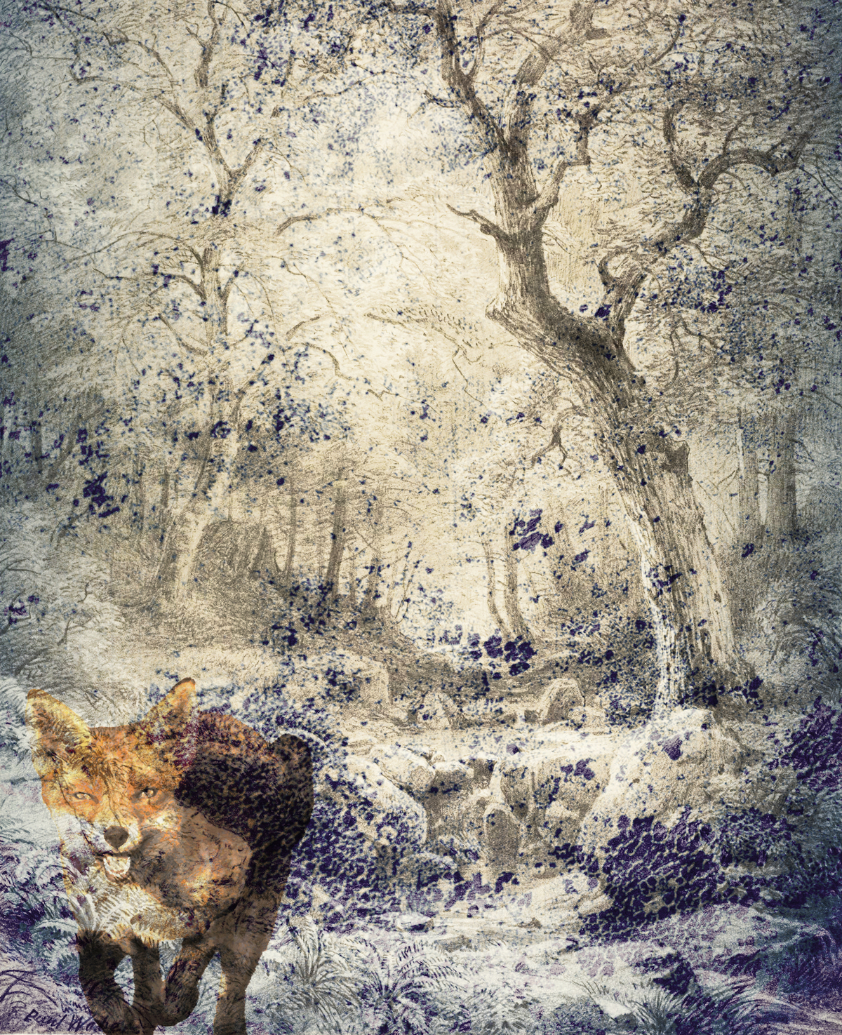 La volpe nel bosco 03