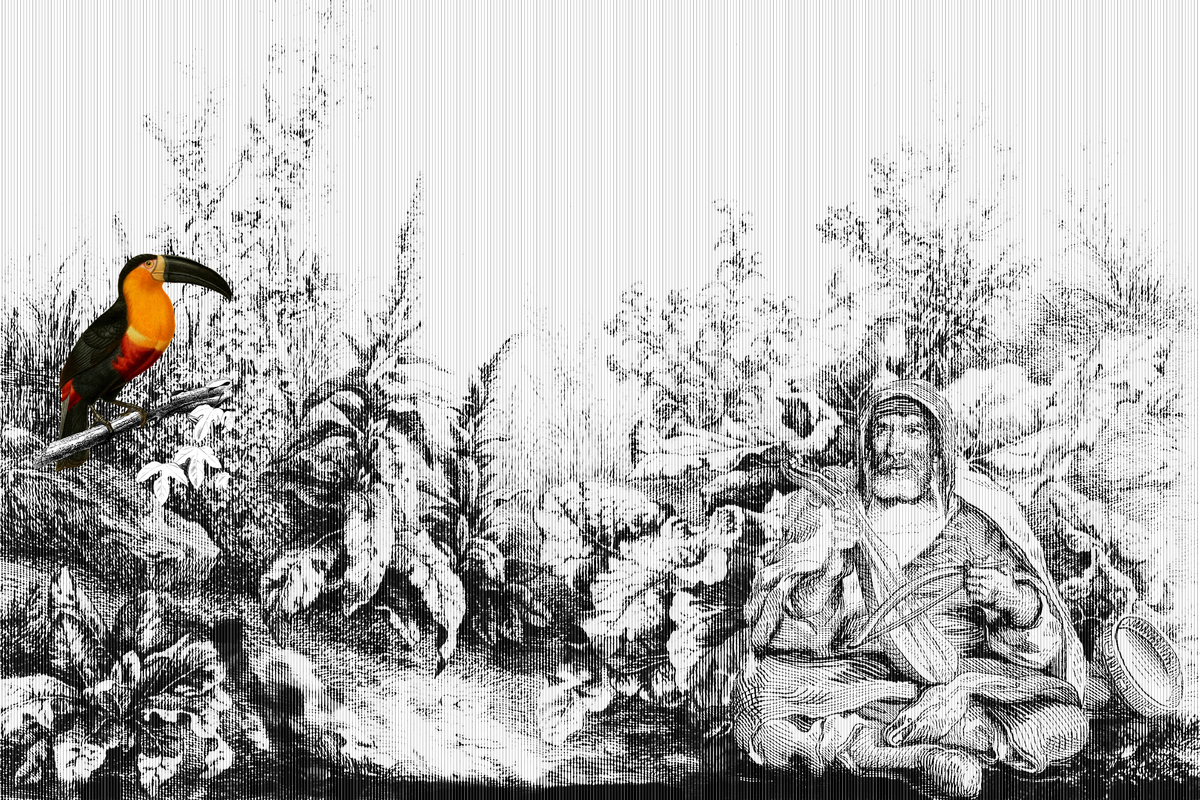 Serenata nel bosco 02