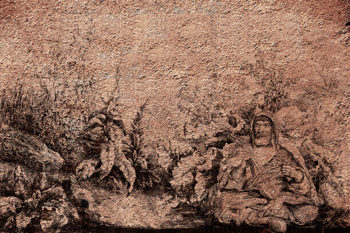 Serenata nel bosco 03