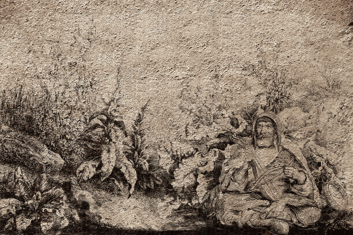 Serenata nel bosco 04