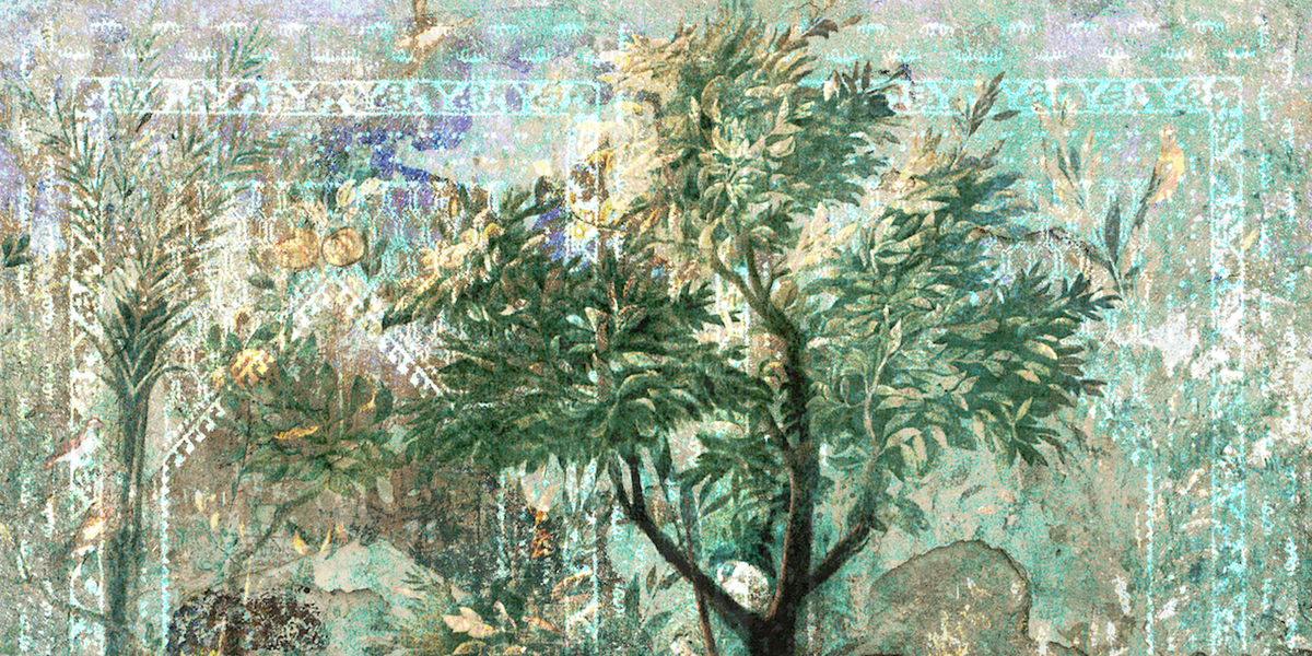 Mediterranea mdt1901