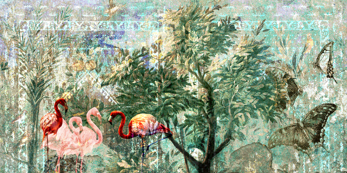 Mediterranea mdt1902