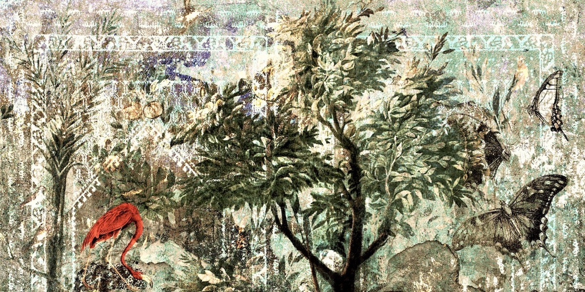 Mediterranea mdt1903