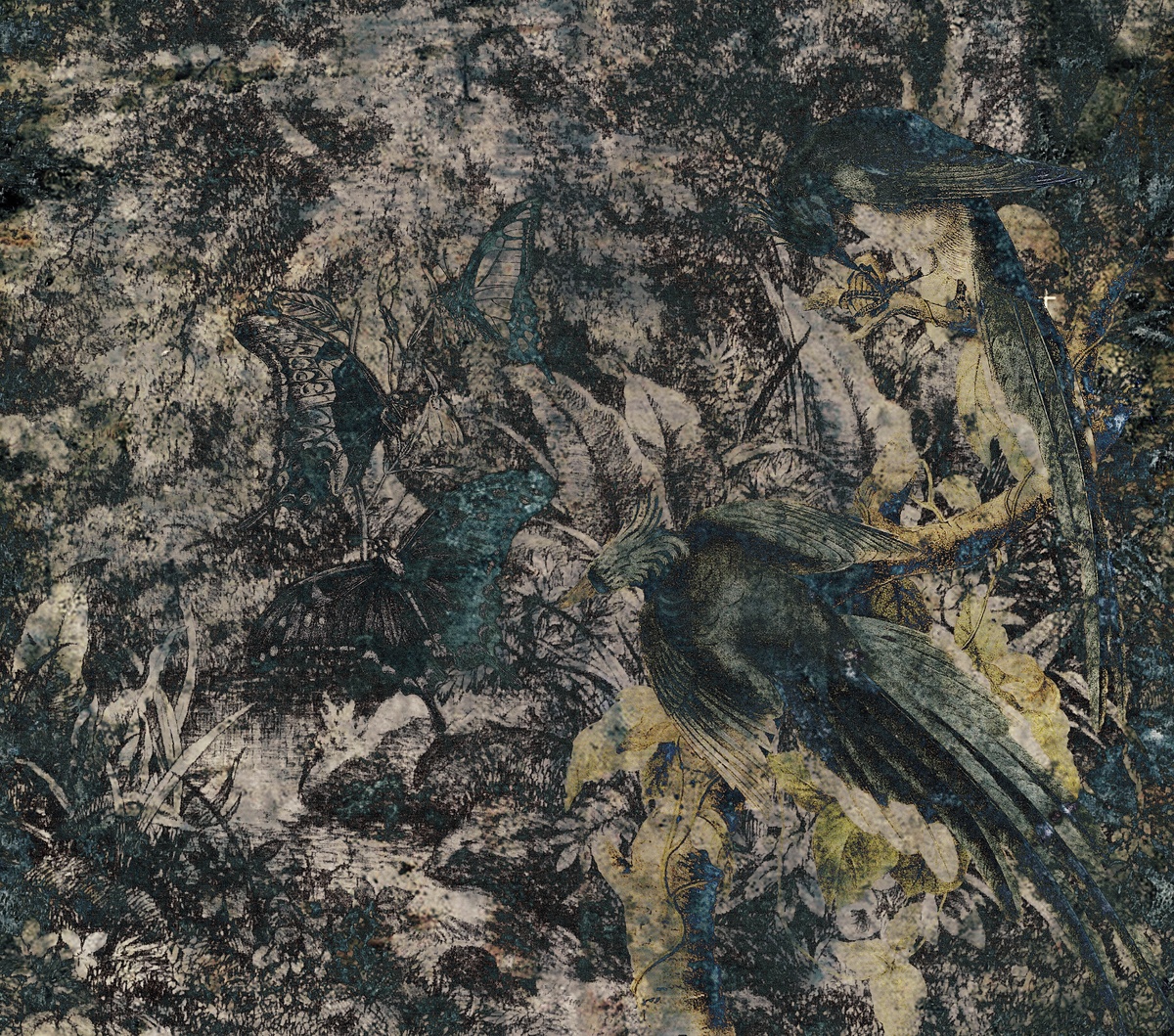 Nel bosco sito nbs1803