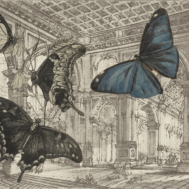 Il ballo delle debuttanti 640x640