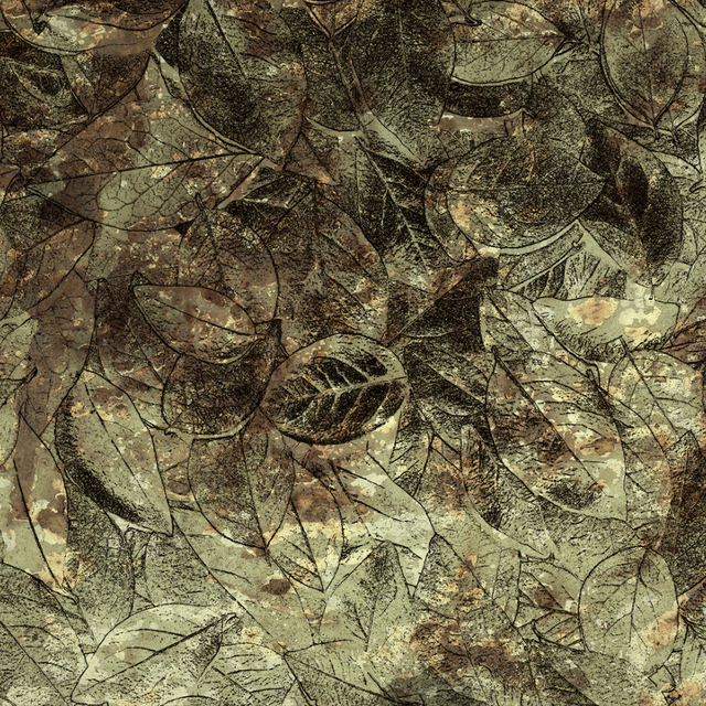 Foglie verdi 640x640