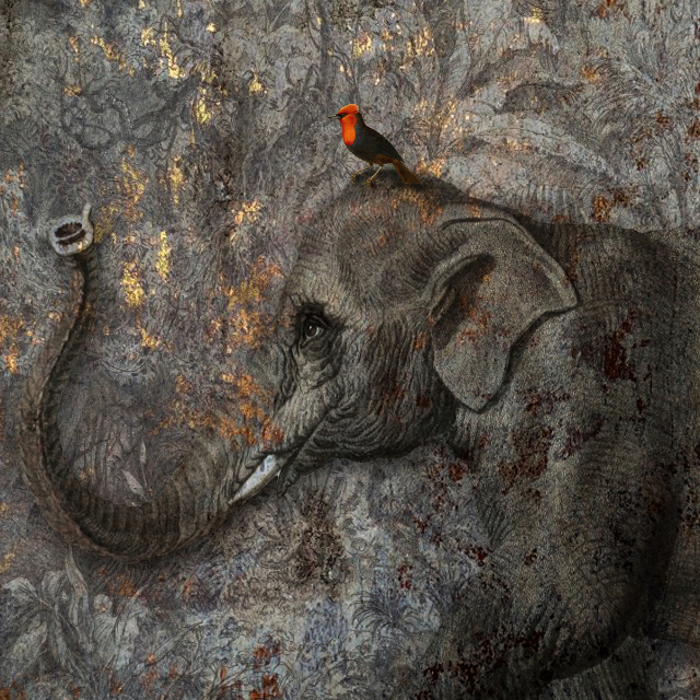 Passeggiando con gli amici 640x640