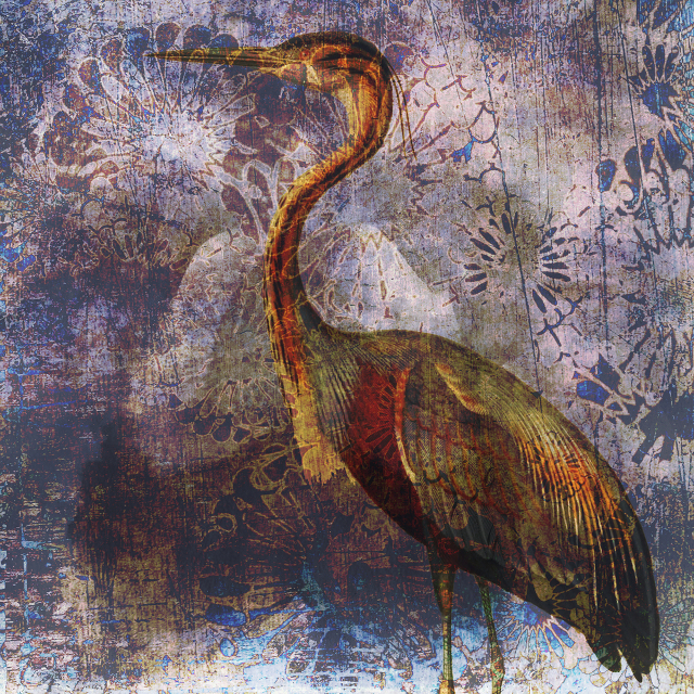 Airone rosso 640x640