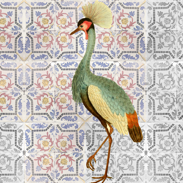 L oiseau royal 640x640