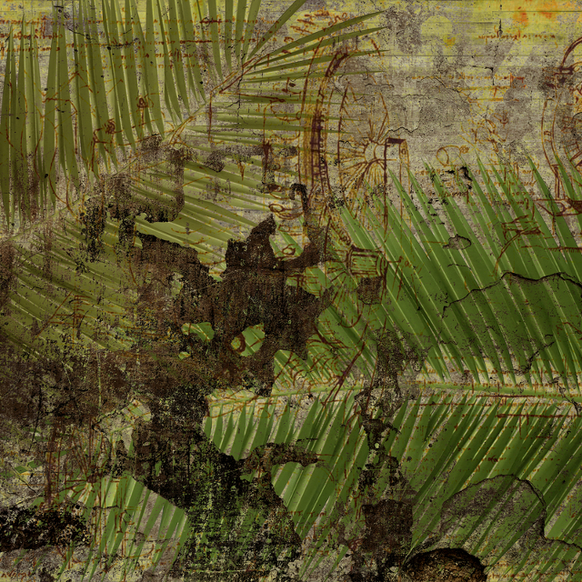 Foglie di palma 640x640