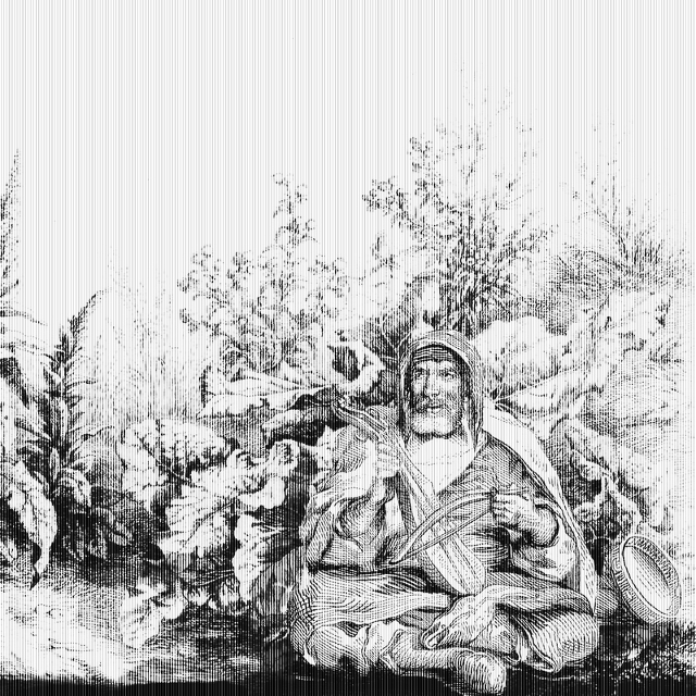 Serenata nel bosco 640x640