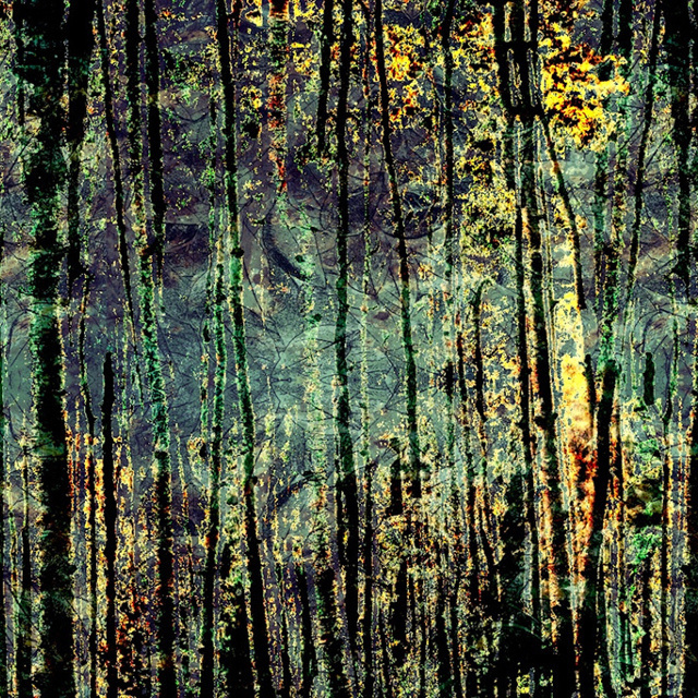 Giochi di luce 640x640