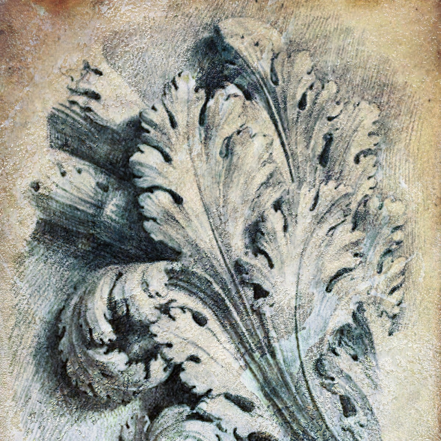 Foglia d acanto 640x640