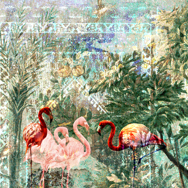 Mediterranea mdt1902 640