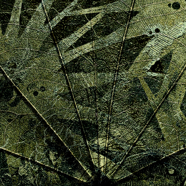 Le vene della vita lvn1902 640