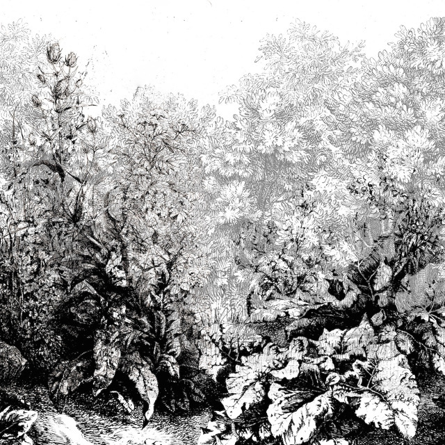 Il giardino dei misteri 640x640