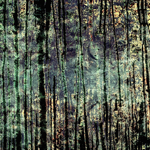 Giochi di luce xxl 640x640