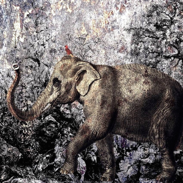 Passeggiando con gli amici 640x640