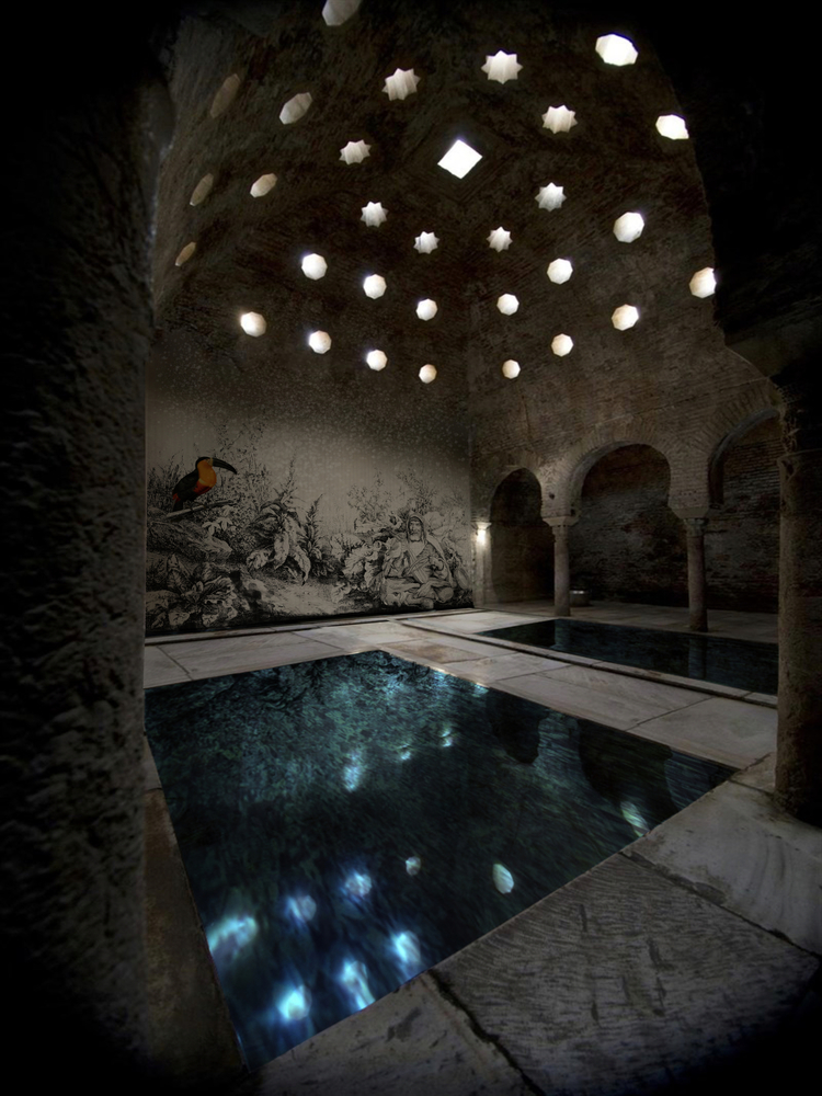 Serenata nel bosco 01